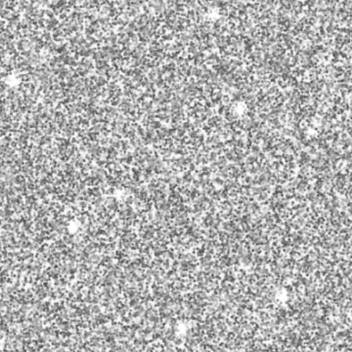 Silver Glitter