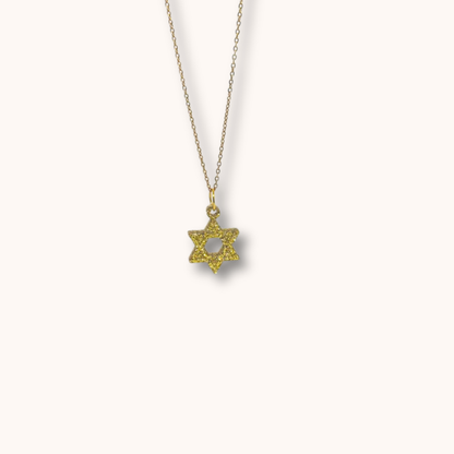 Star of David Charm Necklace